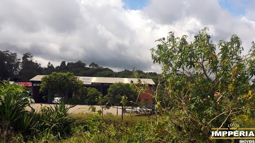 Foto 06