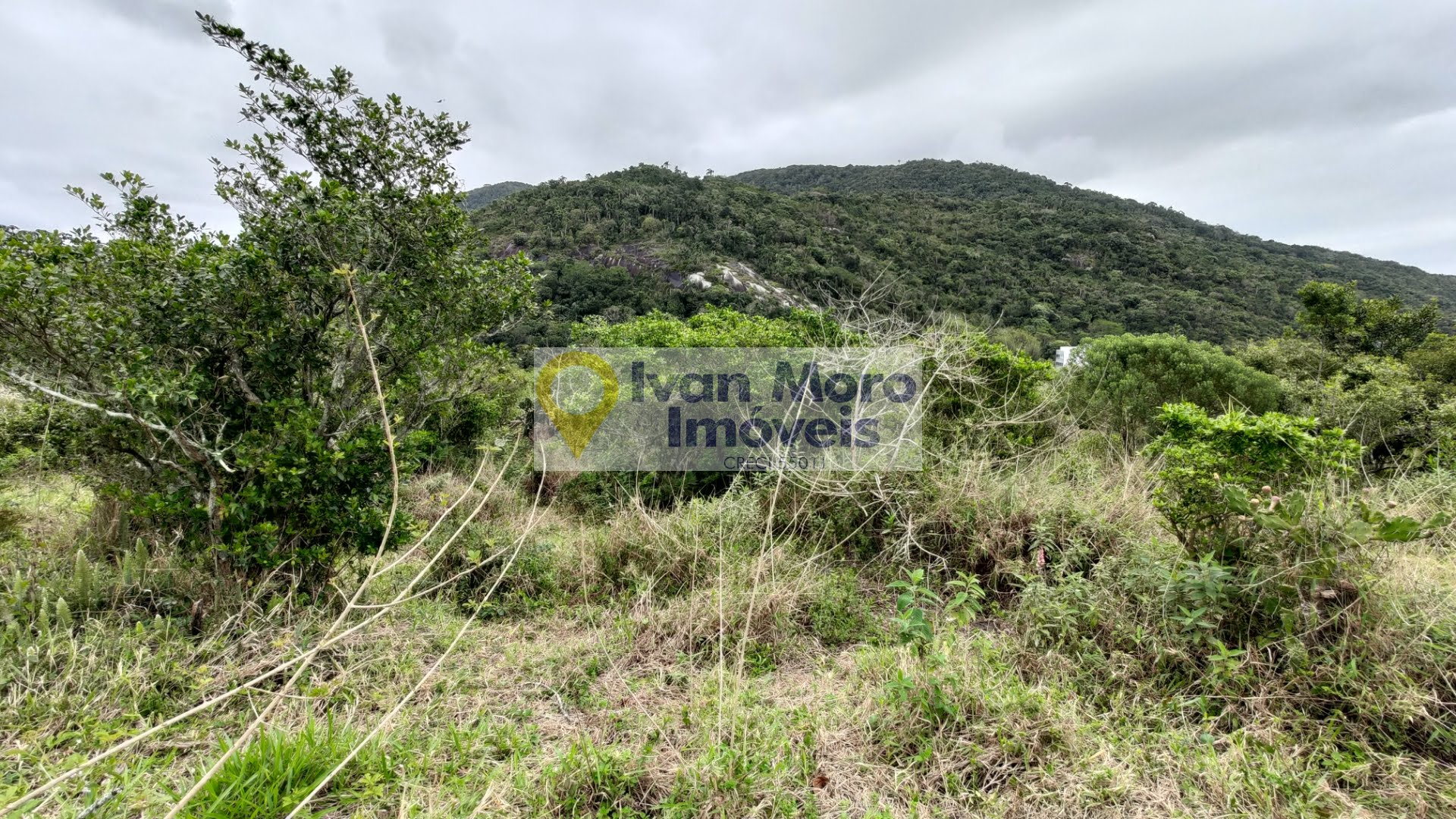 Terreno à venda com 26400m² de terreno no Ingleses do Rio Vermelho, Florianópolis (SC) — foto 3 de 15