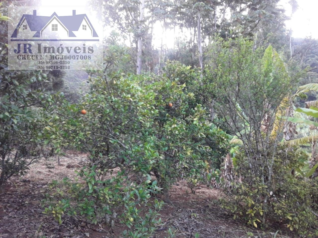 Rural à venda com 30000m² de terreno no Resende, Pedralva (MG) — foto 9 de 21