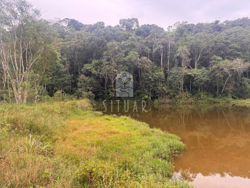 Foto 06