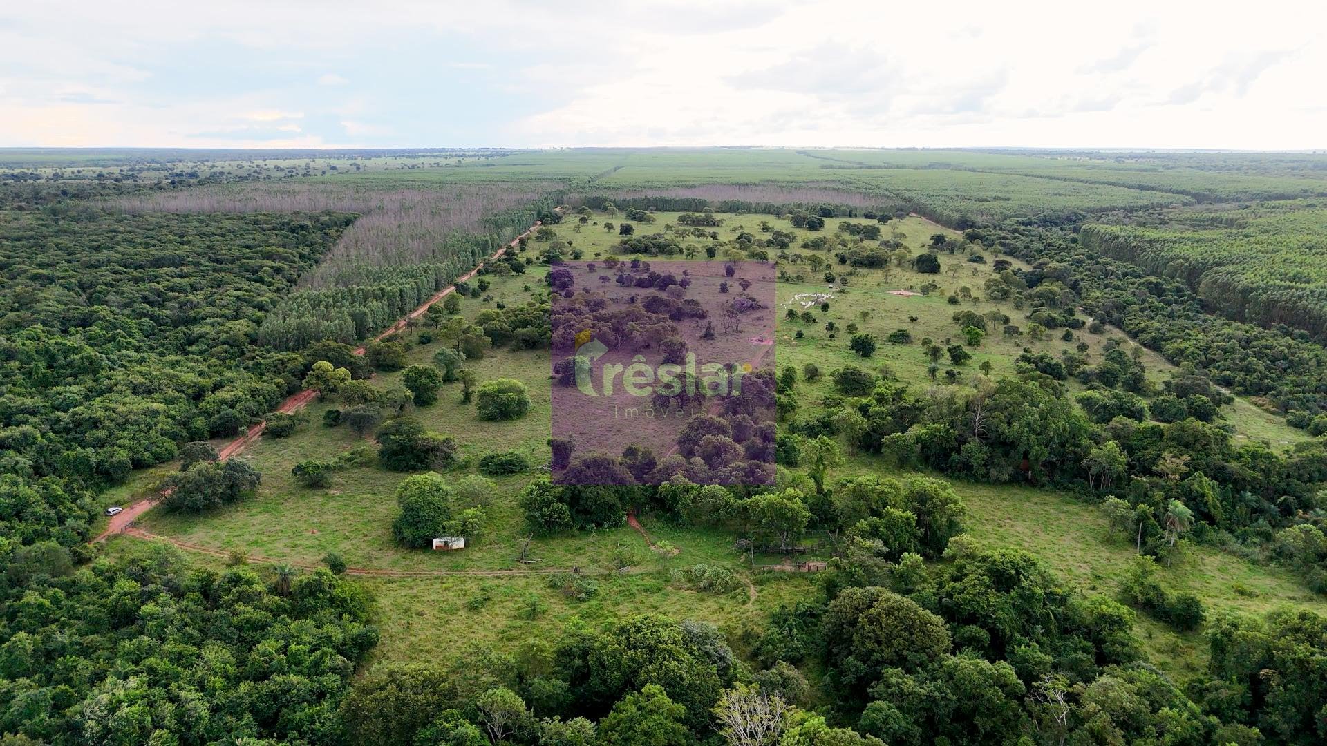 Rural à venda com 710000m² de terreno no Fazenda, Três Lagoas (MS) — foto 6 de 7