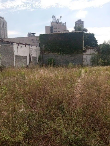 Foto 02