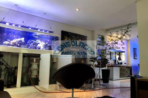 Casa em Vila Mariana  -  São Paulo