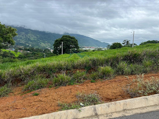 VISTA DA RUA 