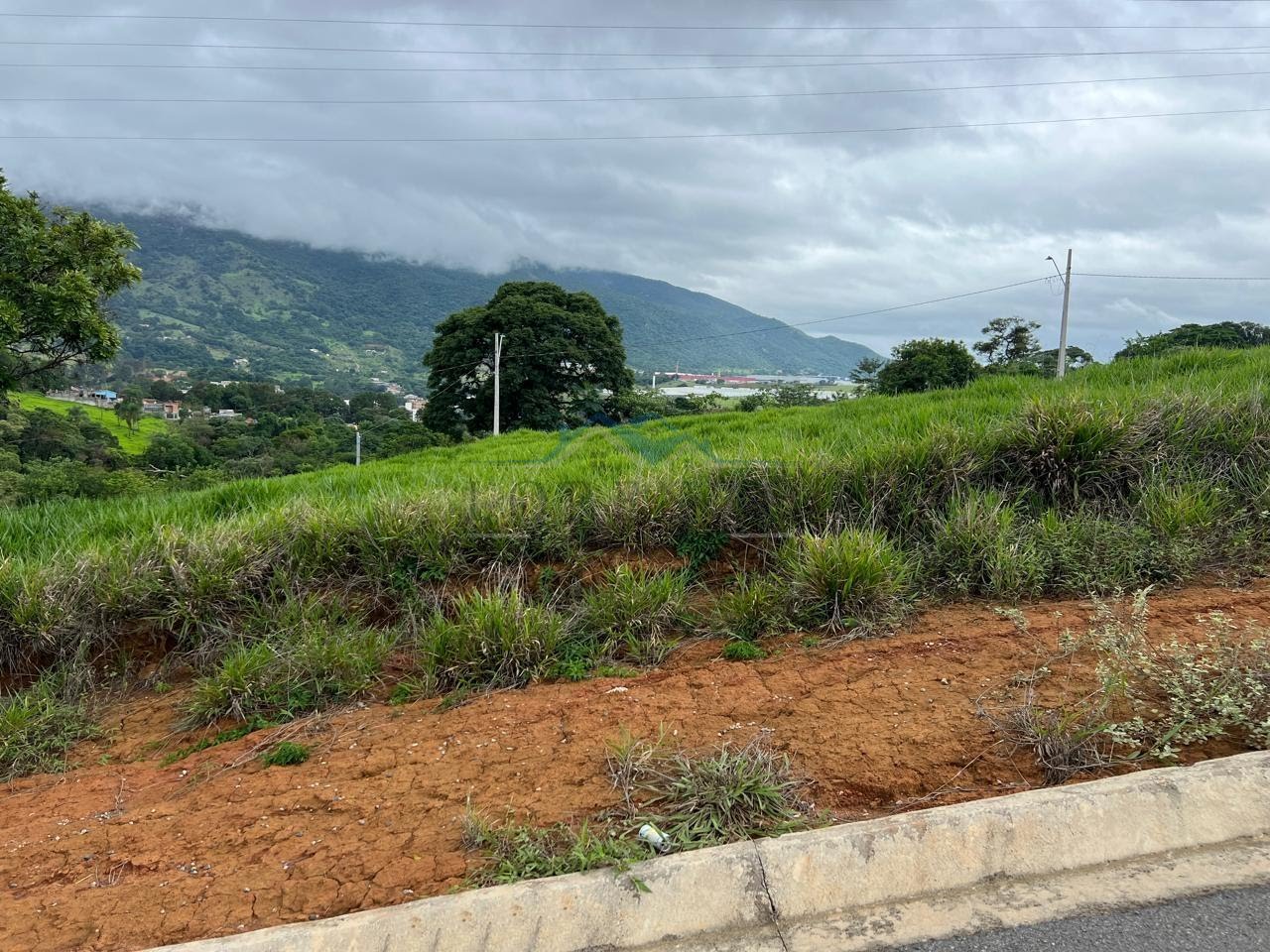 VISTA DA RUA 