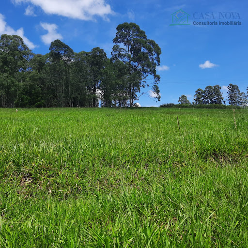 Terreno para chácara em São Pedro no Alto da Serra do Itaqueri, com frente para rodovia : venda por R$ 305.088,00.