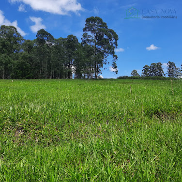 Terreno para chácara em São Pedro no Alto da Serra do Itaqueri, com frente para rodovia : venda por R$ 305.088,00.