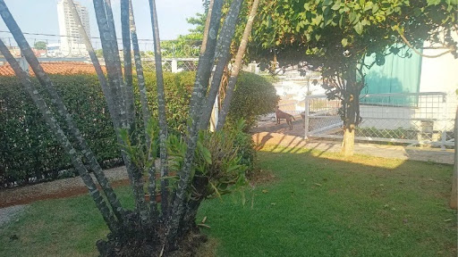 Foto 03