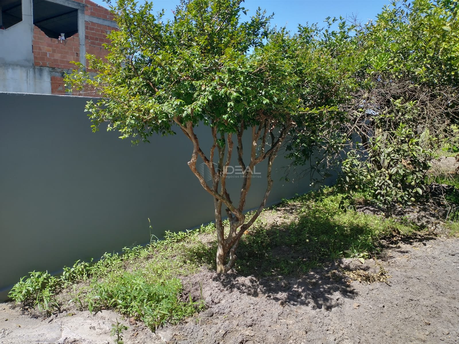 Rural à venda com 448m² de terreno no Correnteza, Campos dos Goytacazes (RJ) — foto 7 de 15