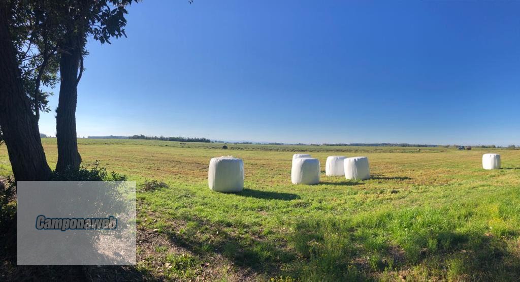 Área agricultável