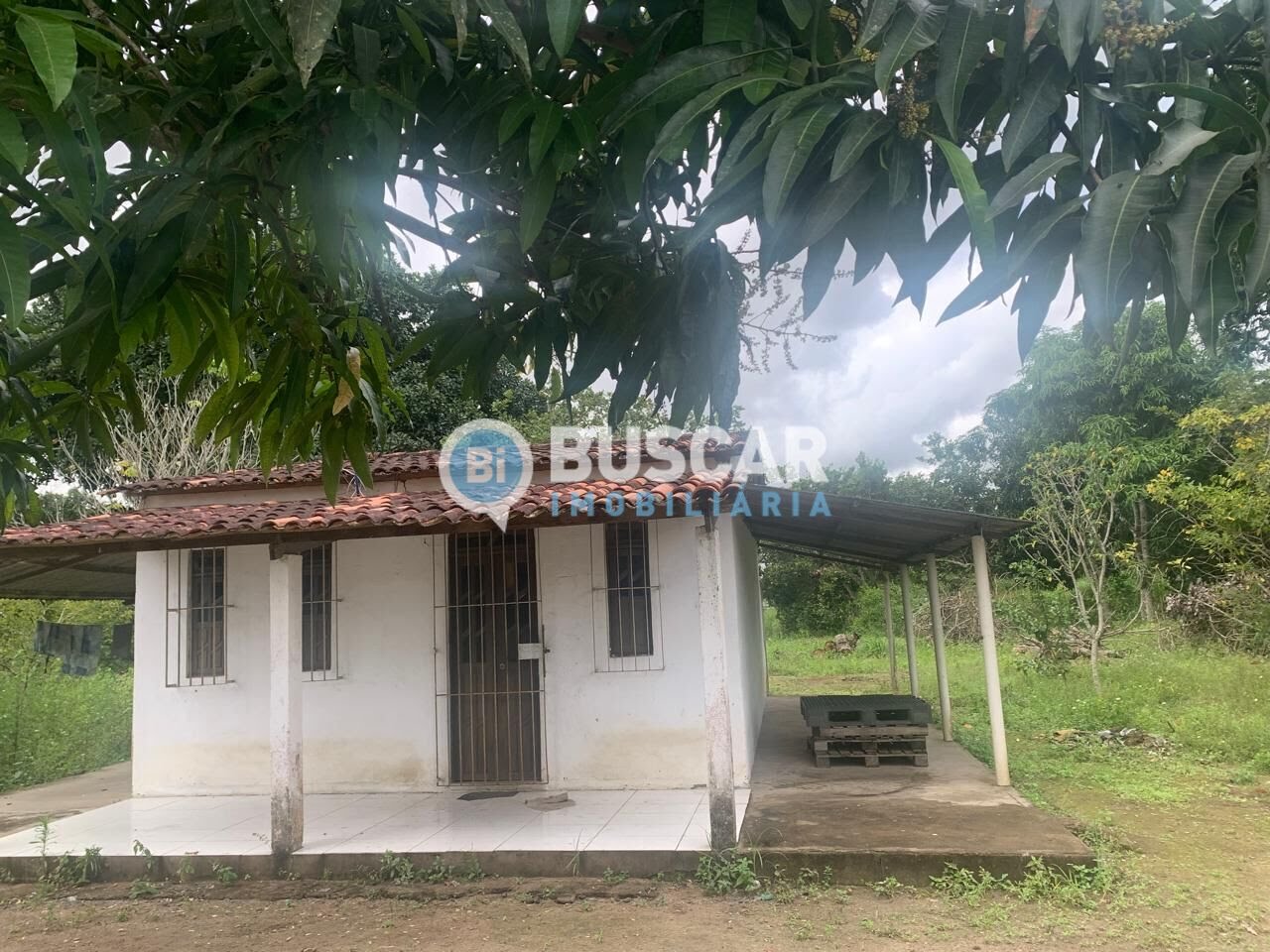Rural à venda com 40000m² de terreno no Sim, Feira de Santana (BA) — foto 6 de 7