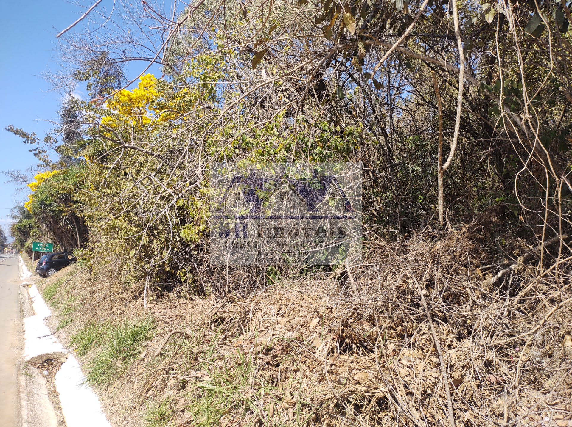 Terreno à venda com 5686m² de terreno no Santa Barbara, Piranguinho (MG) — foto 15 de 17