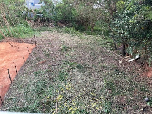 Foto 06