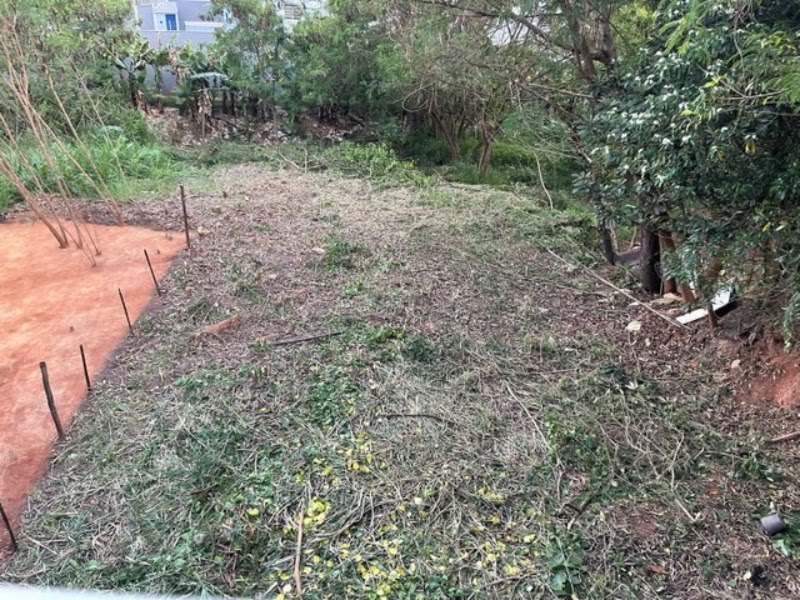 Foto 06