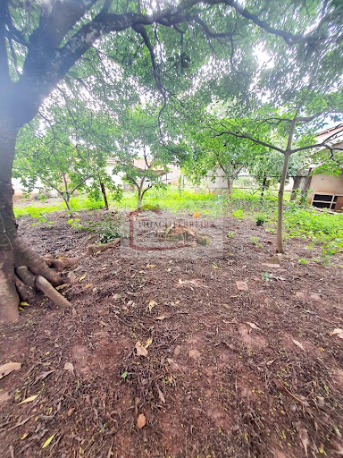 Loja / Salão em Jardim Cinelândia  -  Santa Rita do Passa Quatro
