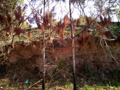 Terreno à venda com 1295m² de terreno no Vista Alegre, Arujá (SP) — foto 9 de 13