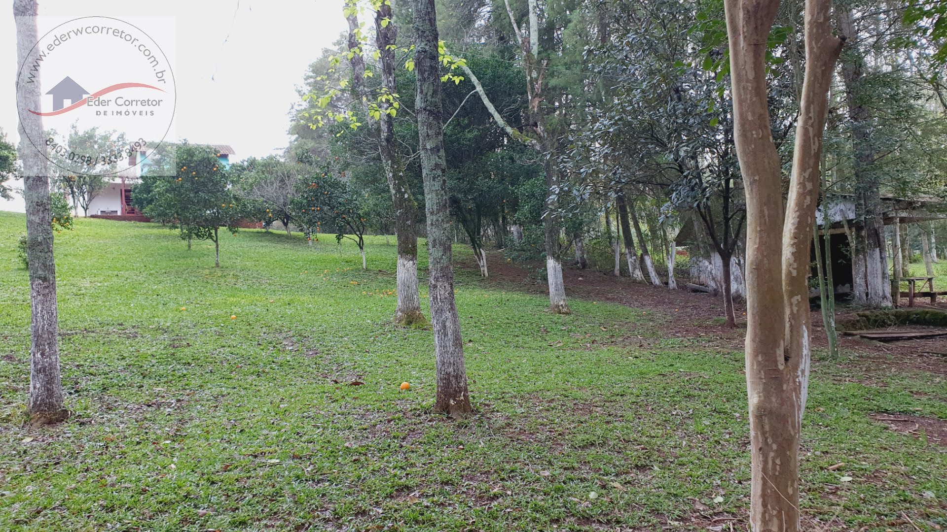 Rural à venda com 3200m² de terreno no Interior, Ijuí (RS) — foto 10 de 16