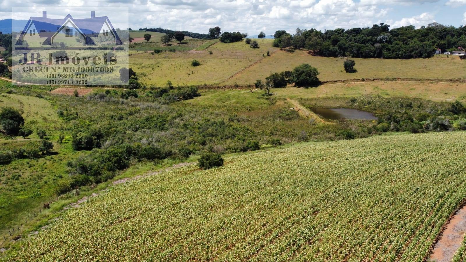 Rural à venda no Bairro Floresta, Piranguinho (MG) — foto 3 de 11