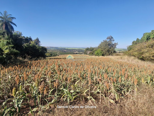 fazenda a venda em casa branca