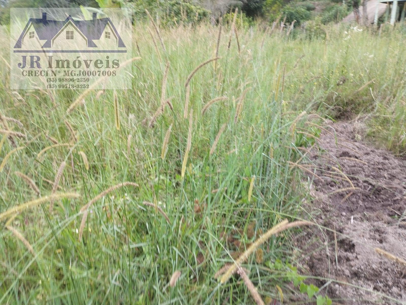 Rural à venda com 1330m² de terreno no Carneiros, Piranguinho (MG) — foto 12 de 13