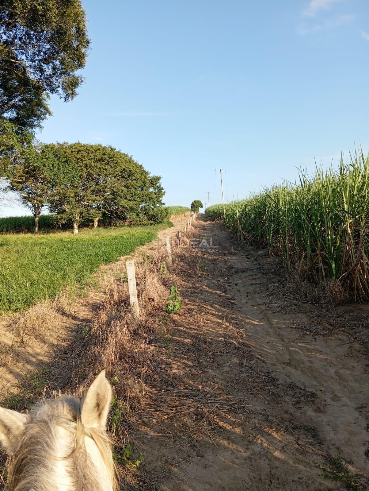 Rural à venda com 1280000m² de terreno no Valão Seco, São Francisco de Itabapoana (RJ) — foto 19 de 30