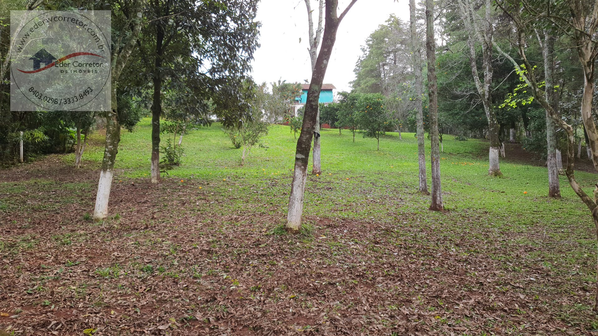 Rural à venda com 3200m² de terreno no Interior, Ijuí (RS) — foto 15 de 16