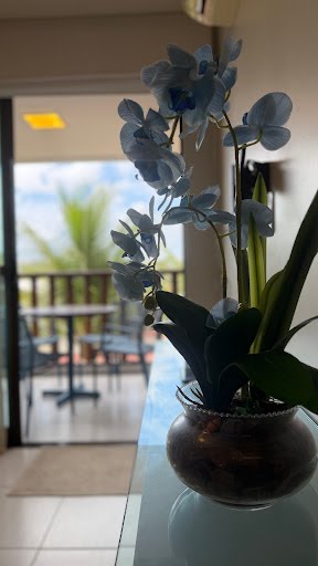 Apartamento à venda com 2 quartos, 1 suíte, 1 vaga e 53m² no Praia do Cupe, Ipojuca (PE) — foto 4 de 28