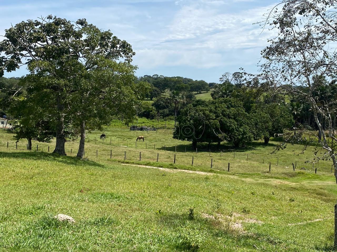Rural à venda no Zona Rural, Itapuranga (GO) — foto 6 de 18