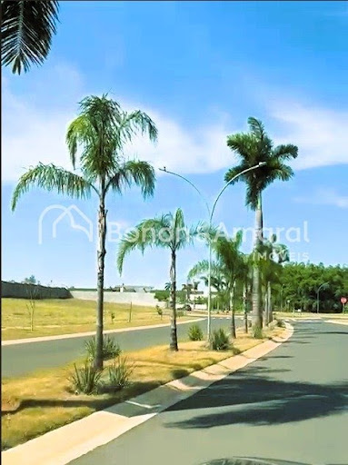 Terreno, 12 m² - Foto 4