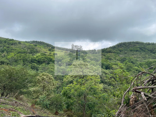 Sítio em Zona rural  -  Astolfo Dutra