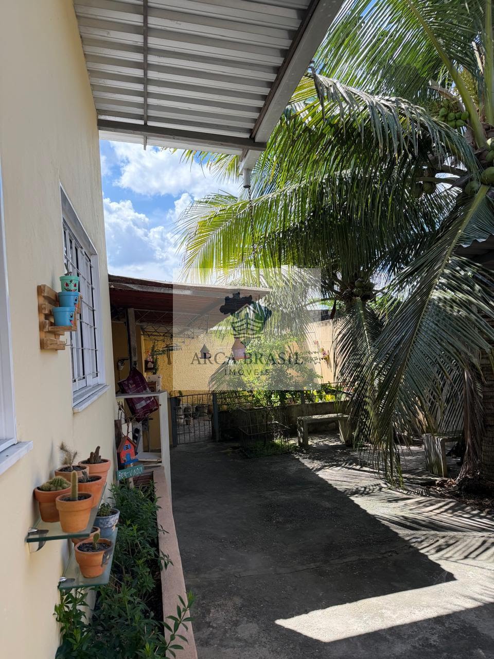 area externa