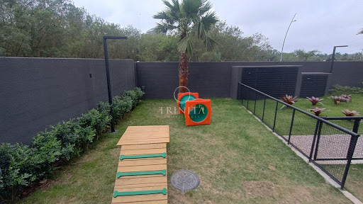 Parcão