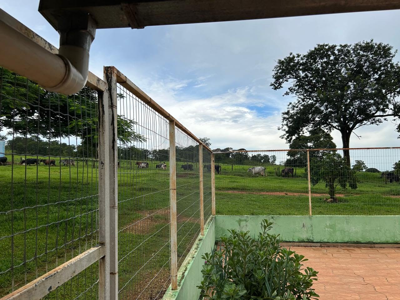 Rural à venda no I I, Paracatu (MG) — foto 3 de 12