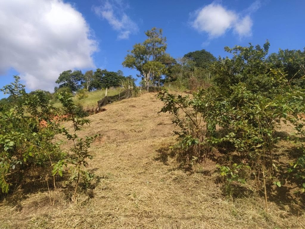Terreno à venda com 1025m² de terreno no Parque Santa Teresa, Santa Isabel (SP) — foto 3 de 14