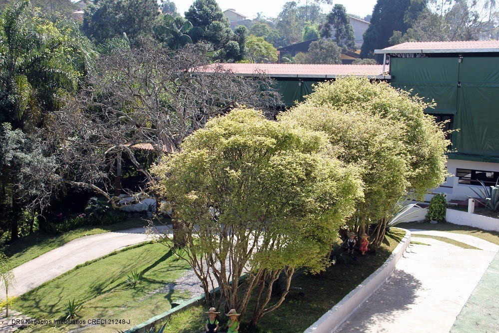 Foto 01
