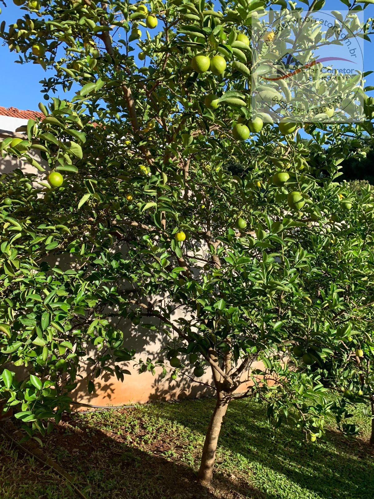 Casa à venda com 3 quartos, 2 banheiros, 1 vaga e 175m² no Tiarajú, Ijuí (RS) — foto 4 de 28