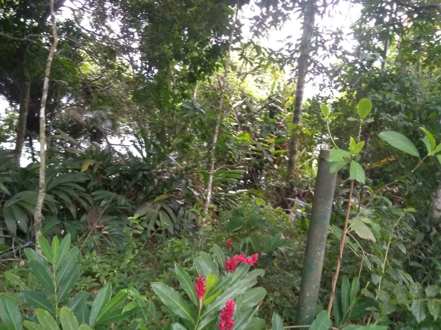 Terreno à venda com 1050m² de terreno no Praia da Fortaleza, Ubatuba (SP) — foto 6 de 8