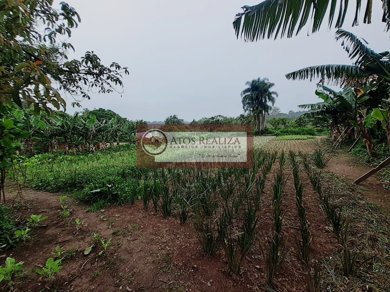 Rural à venda com 1300m² de terreno no Cidade Luz, São Paulo (SP) — foto 5 de 30