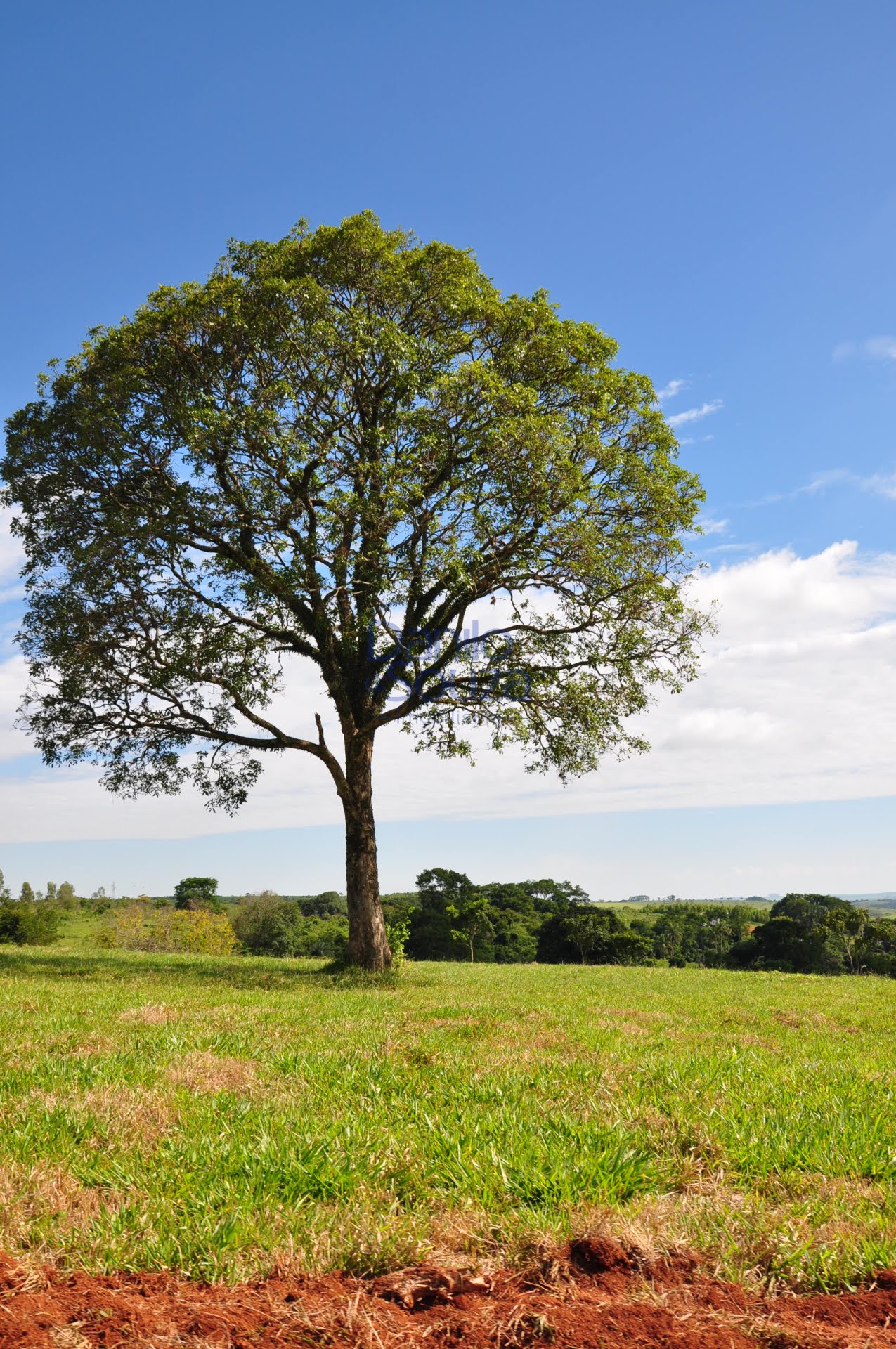 Rural à venda com 20000m² de terreno no Novo Santo Antônio, Araxá (MG) — foto 18 de 20