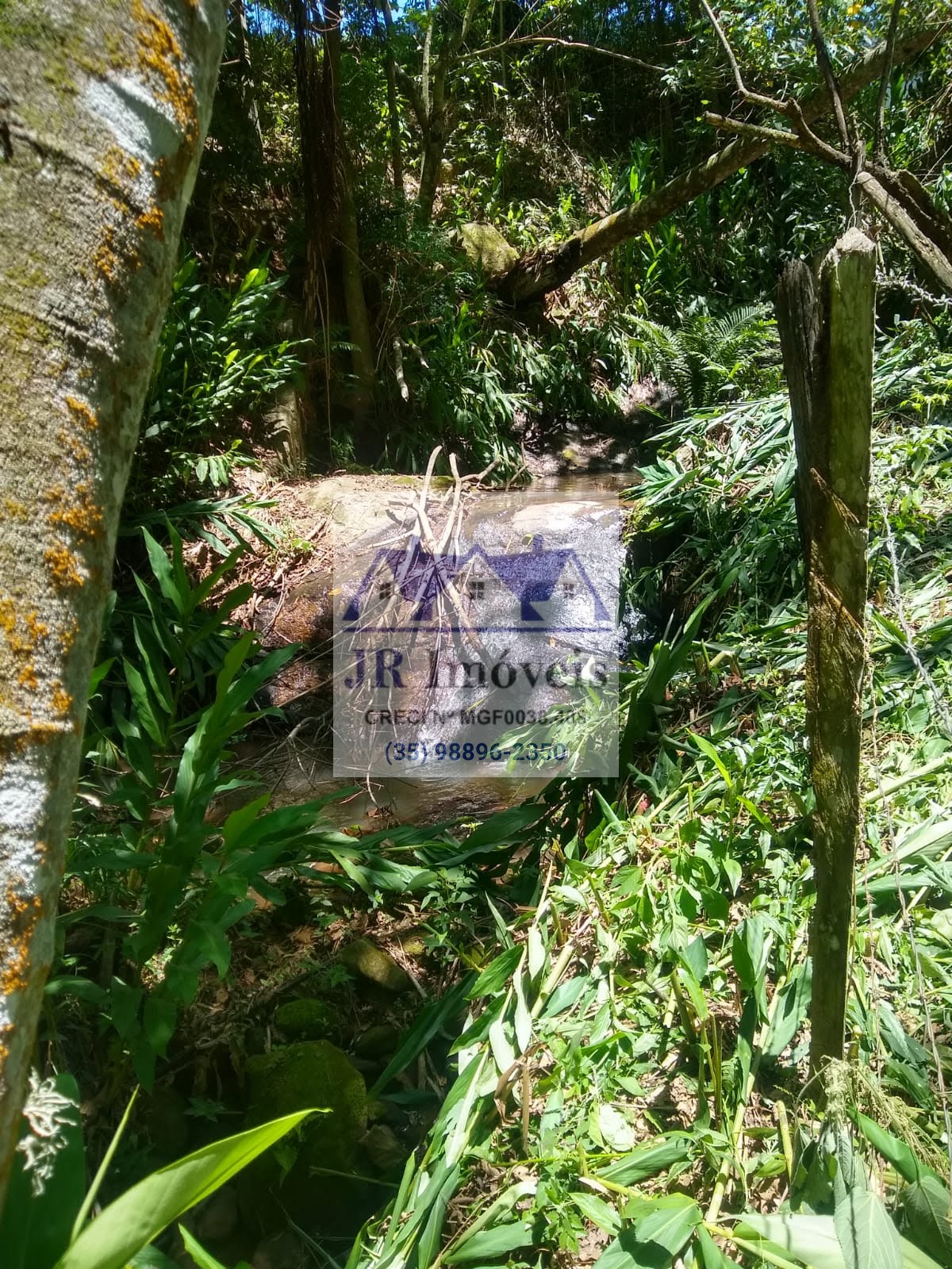 Terreno à venda com 3600m² de terreno no Taquaral, Delfim Moreira (MG) — foto 7 de 18