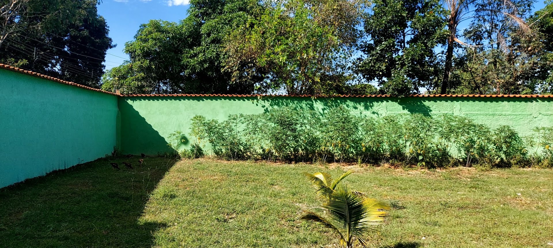 Casa à venda com 3 quartos, 1 suíte, 10 vagas e 2500m² no Arapoanga Df, Planaltina (DF) — foto 15 de 25