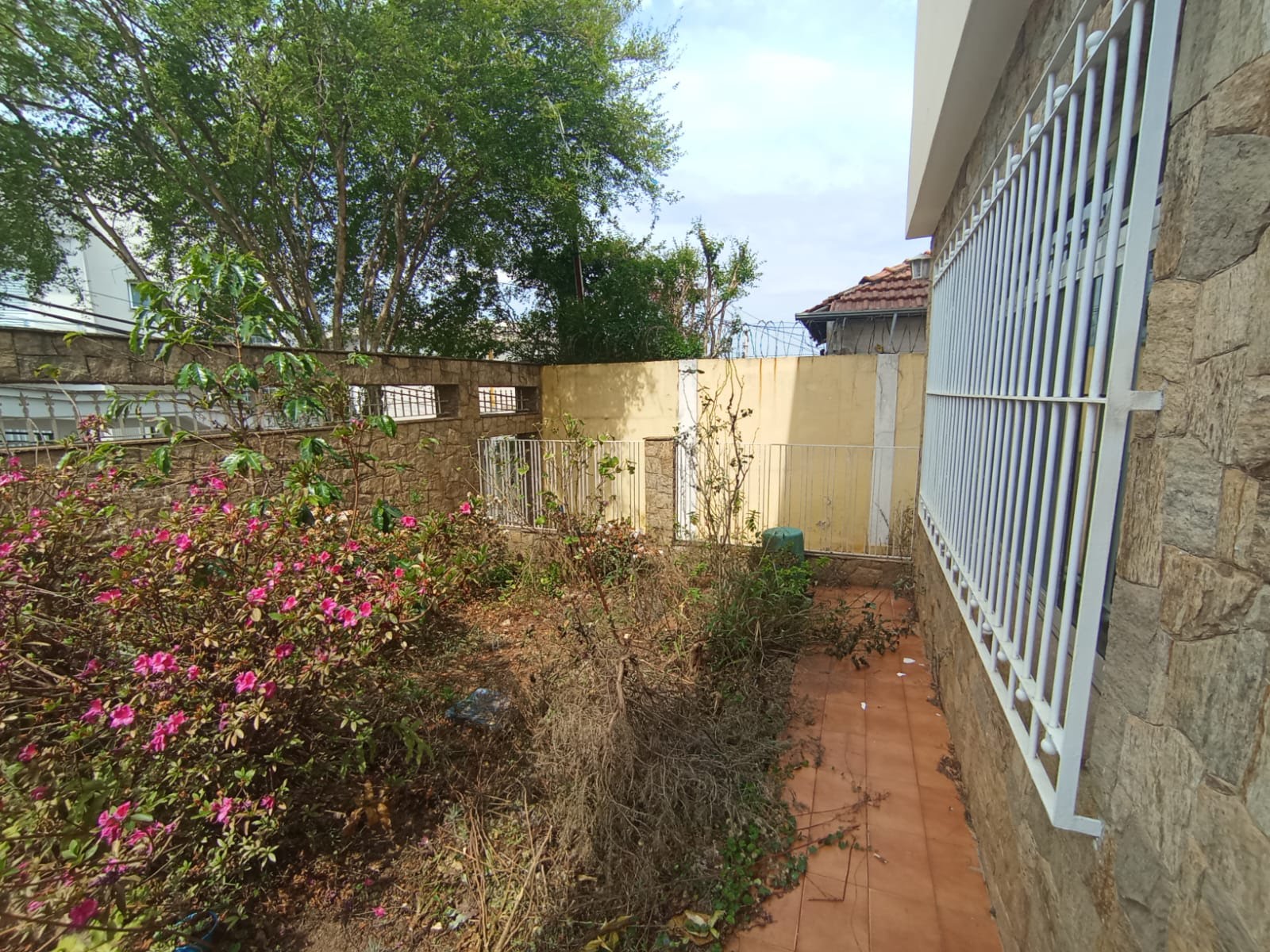 Apartamento à venda com 3 quartos, 3 banheiros, 3 vagas e 250m² no Vila Pereira Barreto, São Paulo (SP) — foto 3 de 30