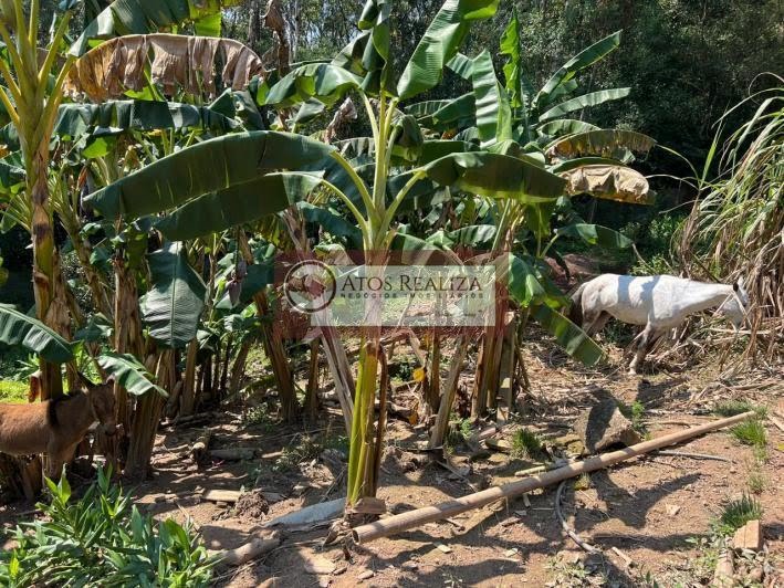 Rural à venda com 20800m² de terreno no Engenheiro Marsilac, São Paulo (SP) — foto 12 de 19