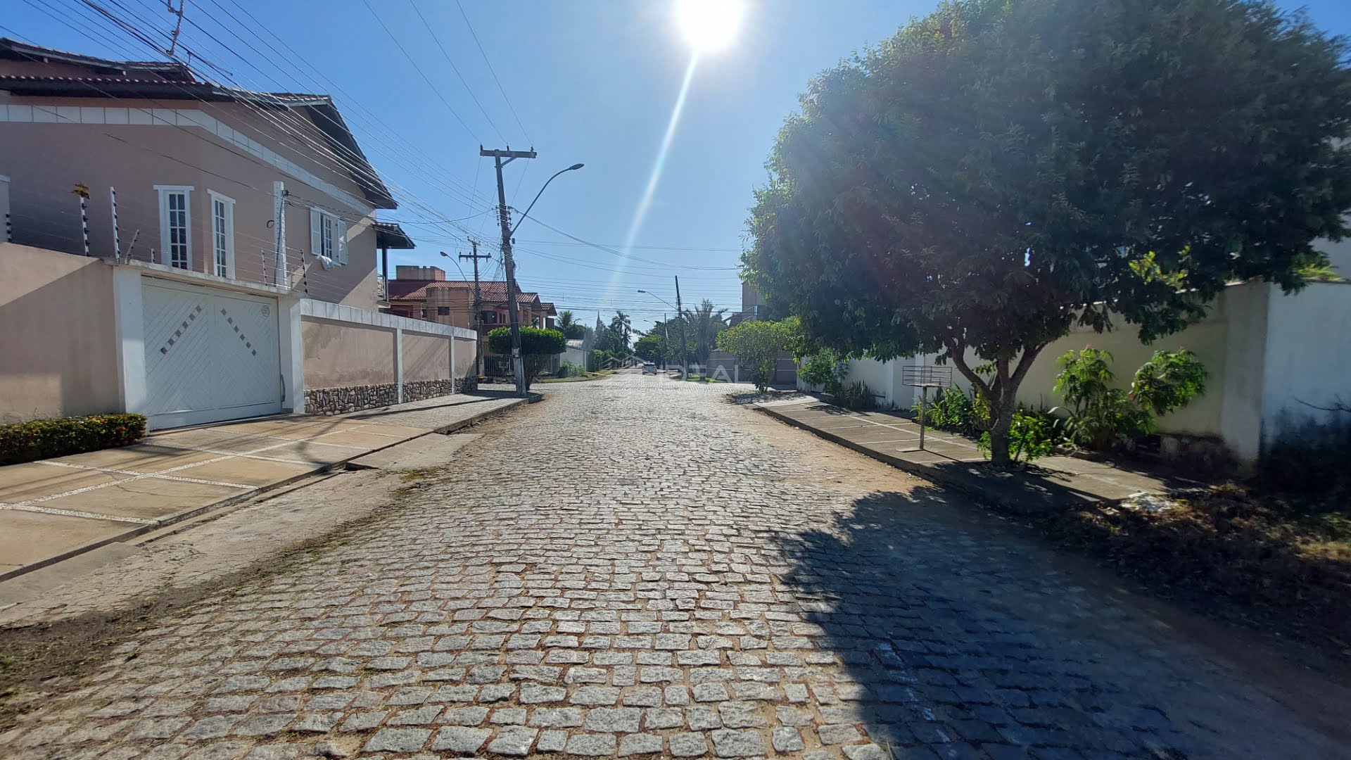 Vista da Rua Godofredo Pinto, Flamboyant 
