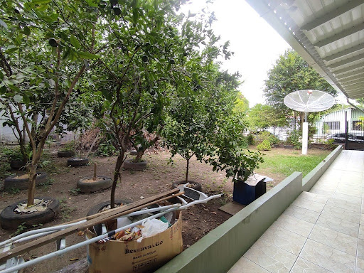ebf01696-13a6-4dc4-bd97-0443afdb66d8.jpg