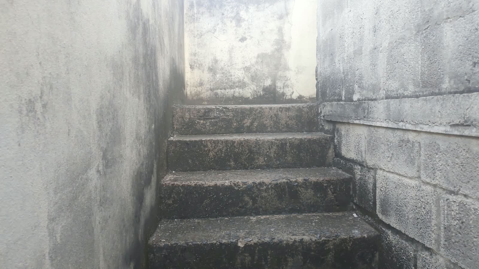 Depósito-Galpão, 780 m² - Foto 8