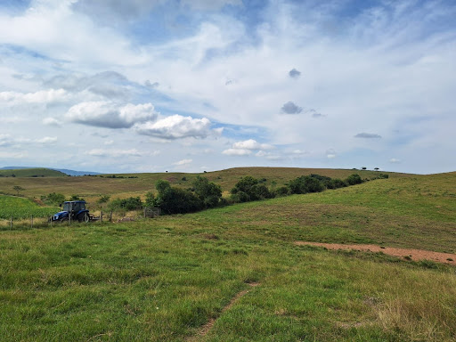 Casa residencial em Área Rural de Cachoeira do Sul - Cachoeira do Sul/Rio Grande do Sul | Casa residencial em Área Rural de Cachoeira do Sul - Cachoeira do Sul/Rio Grande do Sul | Imobiliária Camponaweb em Santa Cruz do Sul