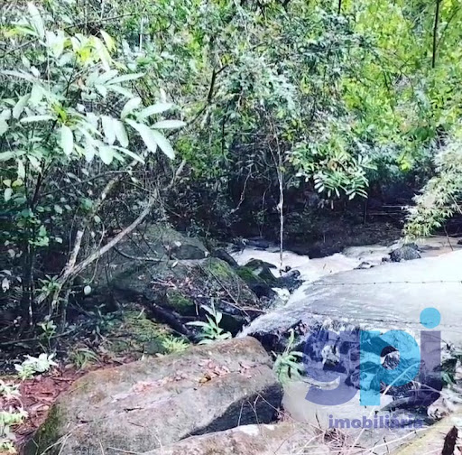 Fazenda em Costas  -  Divinópolis