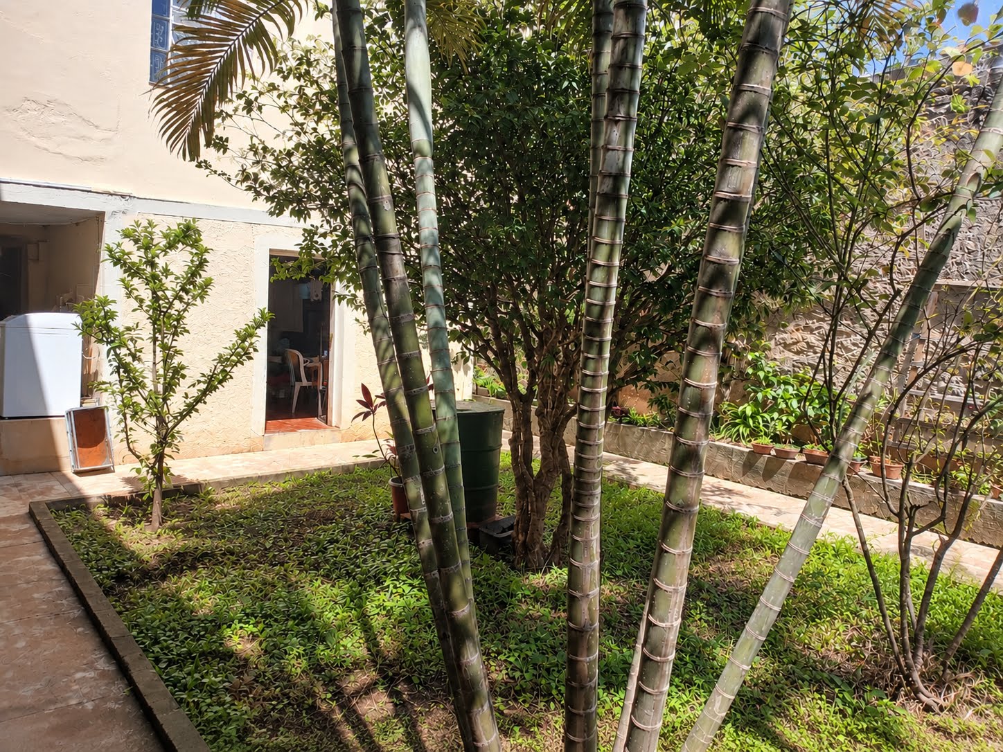 Apartamento à venda com 2 quartos, 1 suíte, 2 vagas e 95m² no Vila Pereira Cerca, São Paulo (SP) — foto 15 de 16