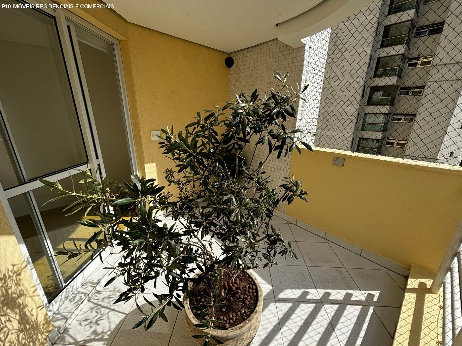 Foto 06